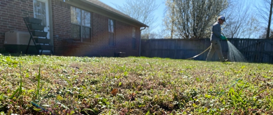 Professional applying weed control treatment to weed infested lawn in Little Rock, AR.