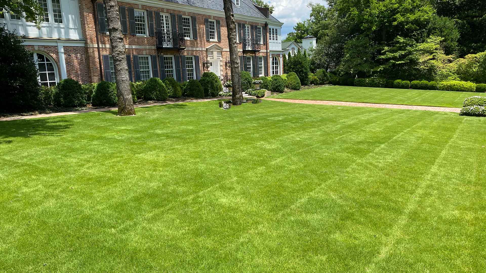 Lush, green home lawn in Maumelle, AR.