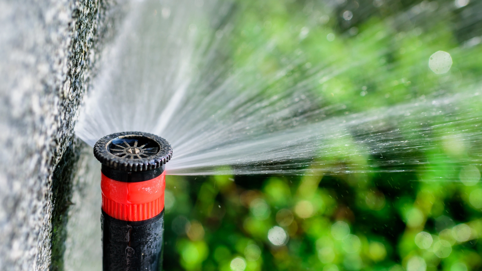 3 Reasons to Let Pros Handle Your Irrigation Startup This Spring