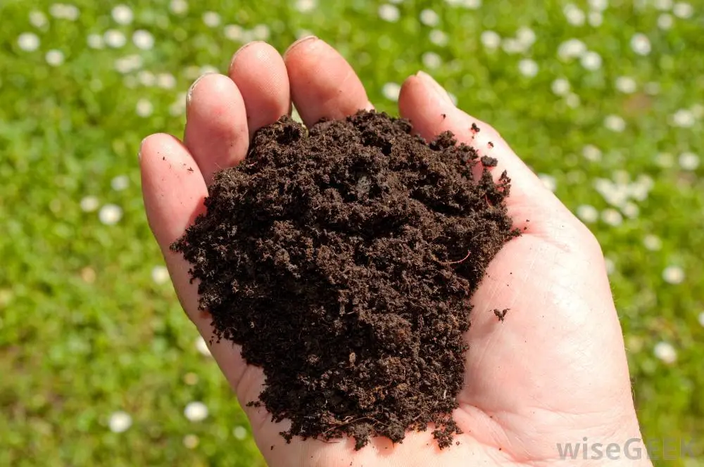 Natural State Gardening: Soil Health