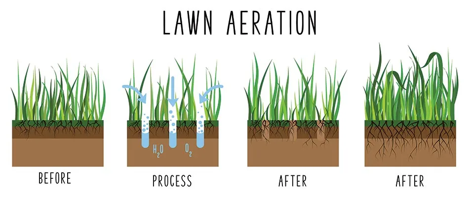 Core aeration infographic for services in Little Rock, AR.