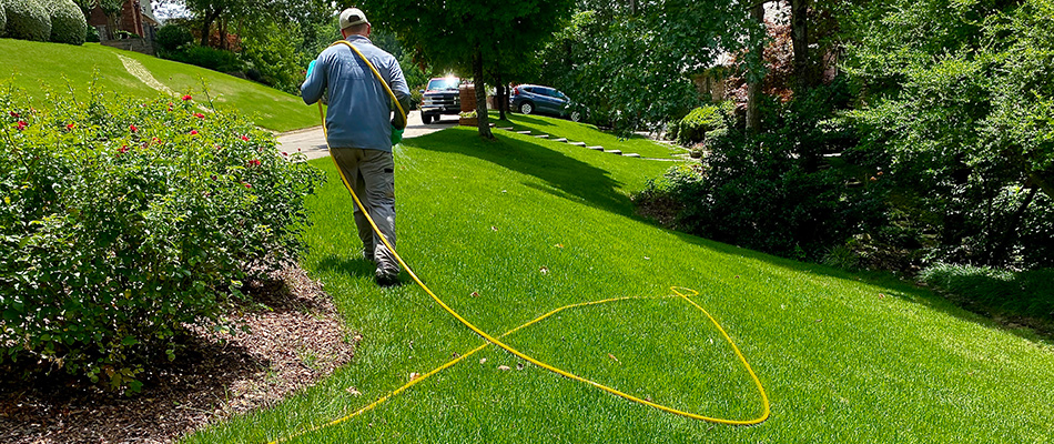 Lawn care professional spraying fertilizer on a green lawn near Maumelle, AR.