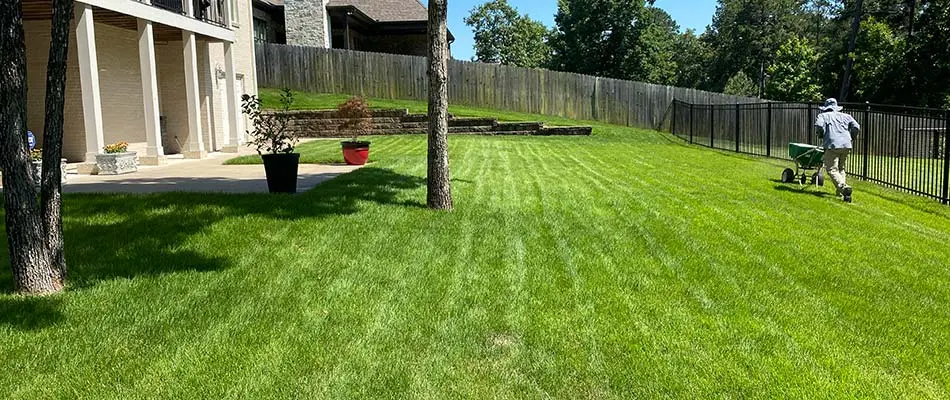 Lawn receiving fertilization services at a home in Little Rock, AR.
