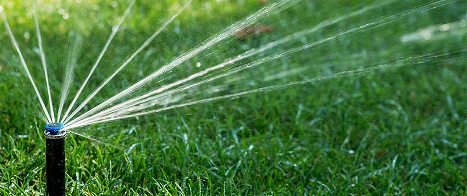 Newly installed irrigation sprinkler head watering a lawn near Little Rock, AR.