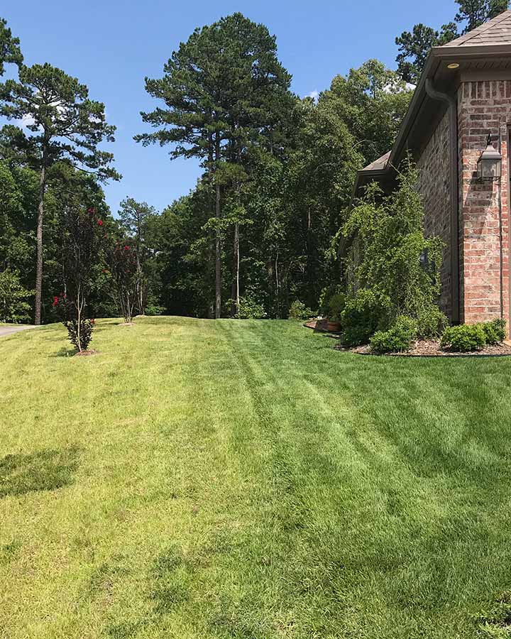 Lawn care comparison between Natural State Horticare and competitor in Little Rock, AR.