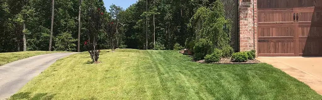 Lawn care comparison between competitor and Natural State Horticare in North Little Rock, AR.