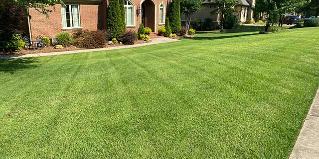 Home lawn with fertilization services in Little Rock, AR.