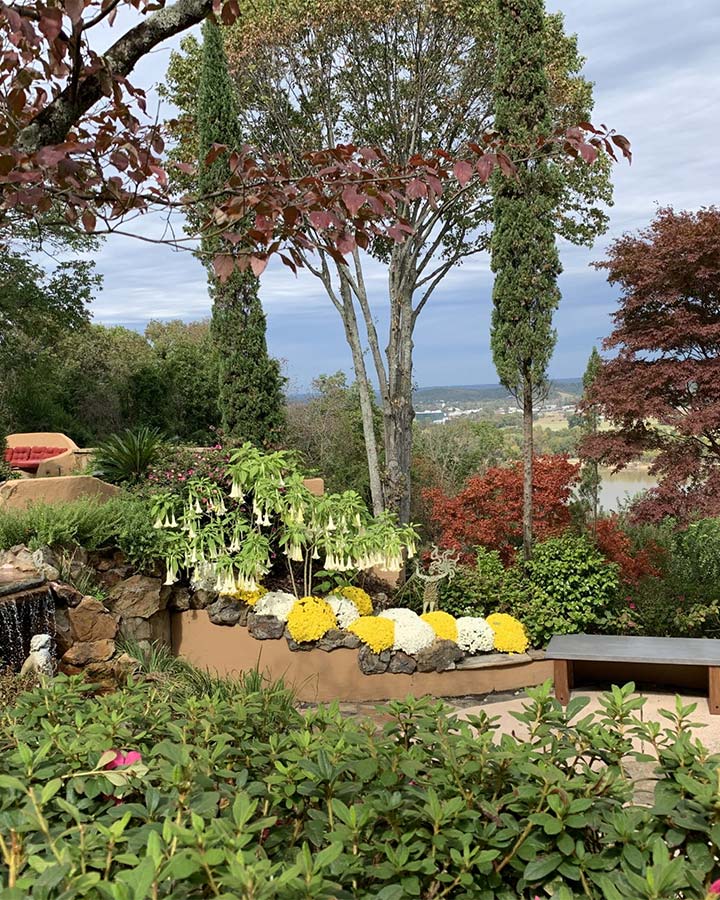 Lush garden with ornamental plants near Little Rock, AR.